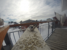 DCIM\116GOPRO