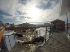 DCIM\116GOPRO