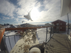 DCIM\116GOPRO