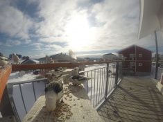 DCIM\116GOPRO