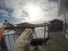 DCIM\116GOPRO