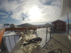 DCIM\116GOPRO