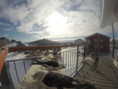 DCIM\116GOPRO