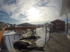 DCIM\116GOPRO