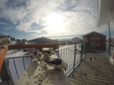DCIM\116GOPRO