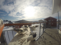 DCIM\116GOPRO