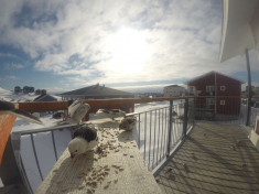 DCIM\116GOPRO