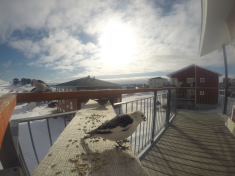 DCIM\116GOPRO