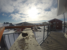 DCIM\116GOPRO