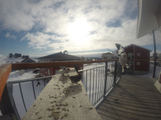 DCIM\116GOPRO