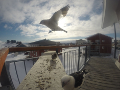 DCIM\116GOPRO