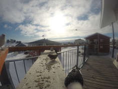 DCIM\116GOPRO