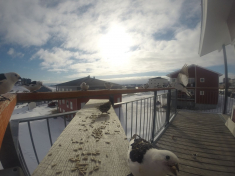 DCIM\116GOPRO