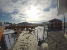 DCIM\116GOPRO