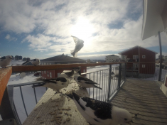 DCIM\116GOPRO