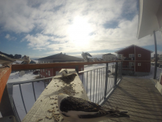 DCIM\116GOPRO