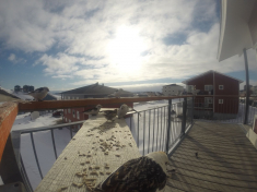 DCIM\116GOPRO