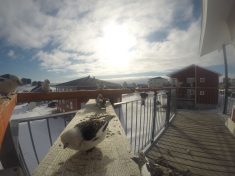 DCIM\116GOPRO