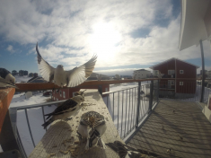 DCIM\116GOPRO