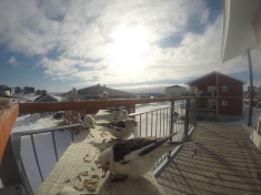 DCIM\116GOPRO