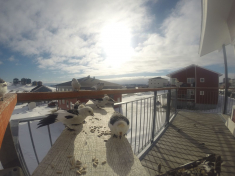 DCIM116GOPRO