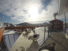 DCIM116GOPRO