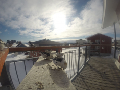 DCIM116GOPRO