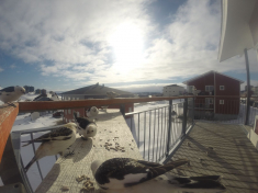 DCIM116GOPRO