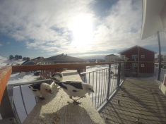 DCIM116GOPRO