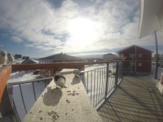 DCIM116GOPRO