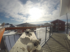 DCIM116GOPRO