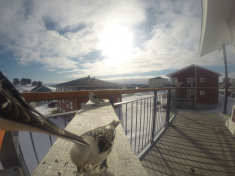 DCIM116GOPRO