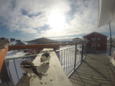 DCIM116GOPRO