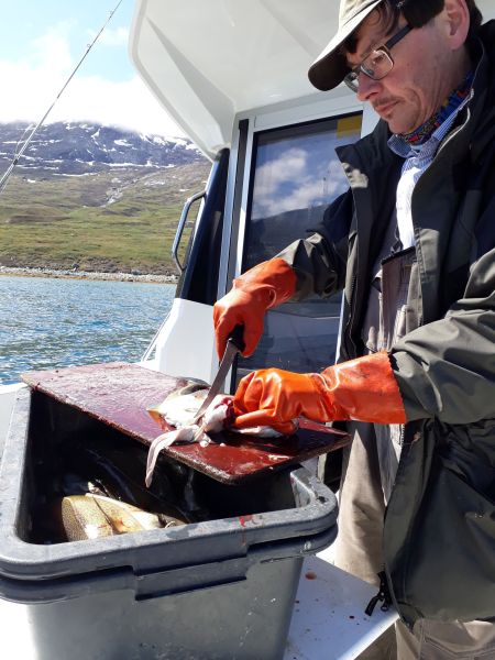 Fabrikken testes i Maru