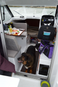 2018-07-01-1620_-_Djanco; Indretning