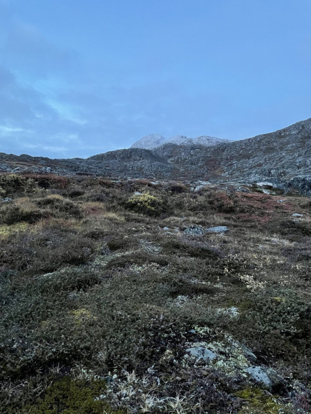 2022-10-08-1857_Gode_2-Vegetation