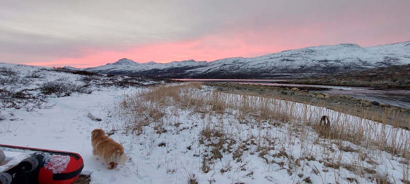 2022-10-14-1817_Gode_1-Gode_2-Hund_Emily-Natur_Solnedgang