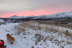 2022-10-14-1817_Gode_1-Gode_2-Hund_Emily-Natur_Solnedgang