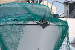 Maru pakkes ind for vinteren. 2 pressenginger og et stort net