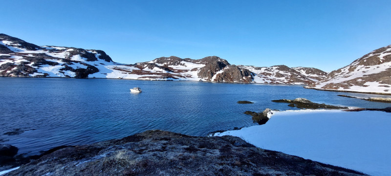 Weekend i Tasiussarsuaq med Julle. Masser af sild men de bed ikke
