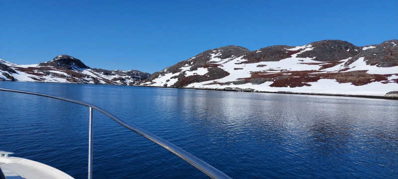 Weekend i Tasiussarsuaq med Julle. Masser af sild men de bed ikke