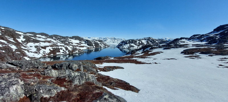 Weekend i Tasiussarsuaq med Julle. Masser af sild men de bed ikke