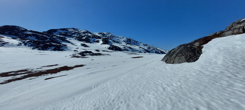 Weekend i Tasiussarsuaq med Julle. Masser af sild men de bed ikke