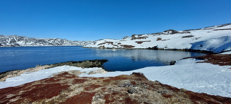 Weekend i Tasiussarsuaq med Julle. Masser af sild men de bed ikke