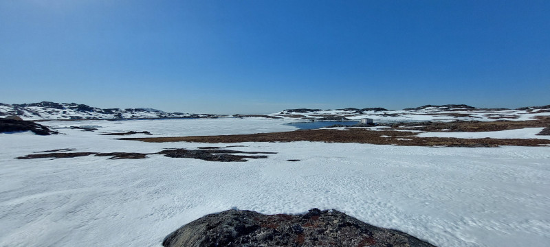 Weekend i Tasiussarsuaq med Julle. Masser af sild men de bed ikke