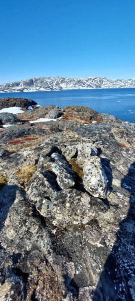 Weekend i Tasiussarsuaq med Julle. Masser af sild men de bed ikke