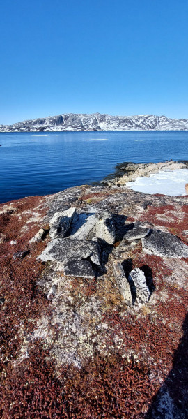 Weekend i Tasiussarsuaq med Julle. Masser af sild men de bed ikke