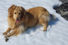 Weekend i Tasiussarsuaq med Julle. Masser af sild men de bed ikke