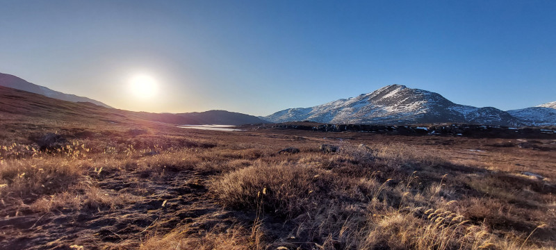 2023-04-29-0625_Gode_1-Sted_Overblik_01