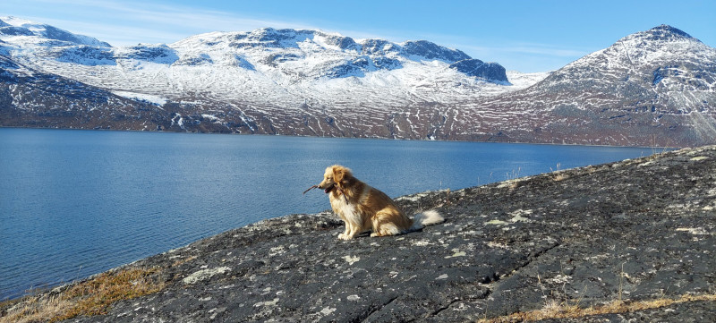 2023-05-01-0941_Bedste_2-Gode_1-Sted_Overblik_01